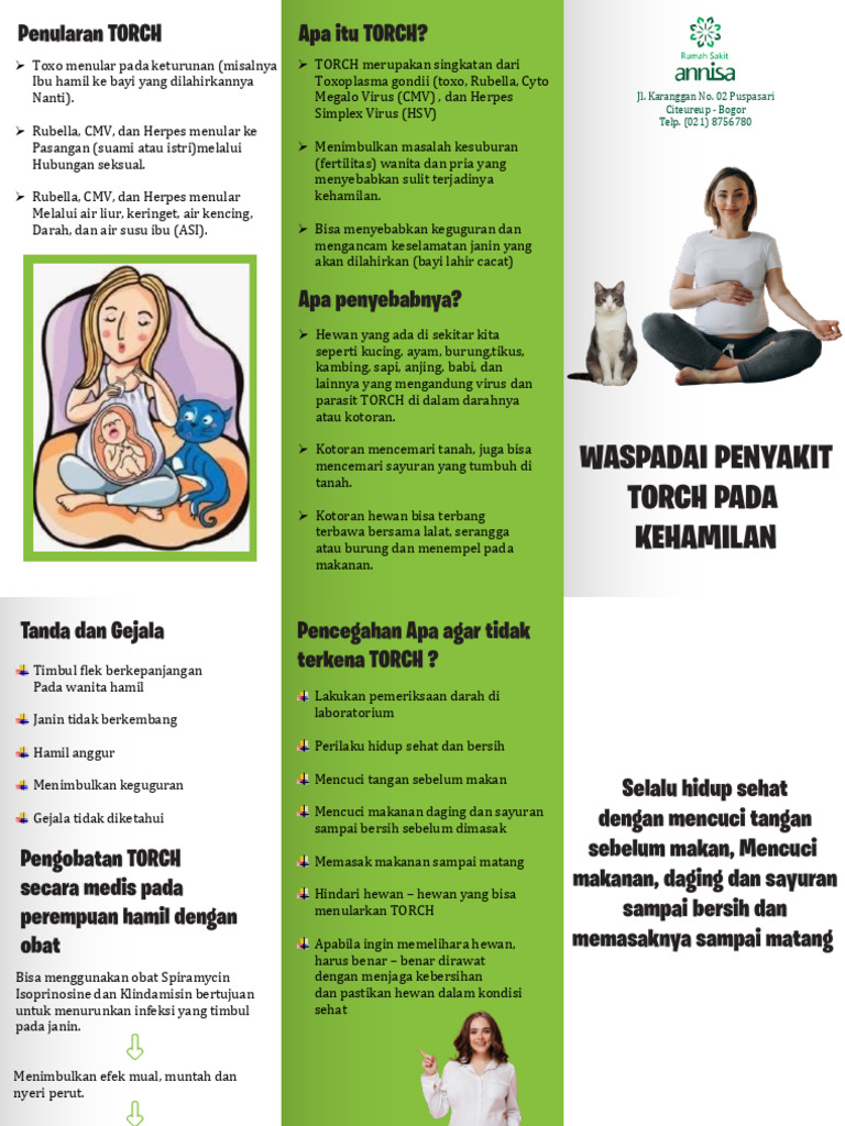 Waspada Infeksi TORCH pada Ibu Hamil | PDF