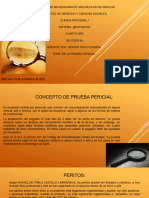 Exposición Presentación de La Prueba Pericial