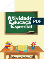 Educação Especial 2