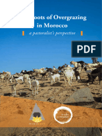 Overgrazing in Morocco Brochure EN Webres