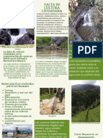 Brochure Presentación Corporativa Con Fotografías Verde y Blanco