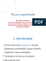 Mycose Superficielle