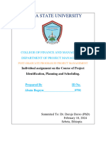 Project Identification, Planning $ Scheduling Individual Assigment