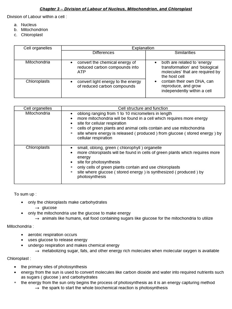 life-science-chapter-3-division-of-labour-of-nucleus-mitochondrion