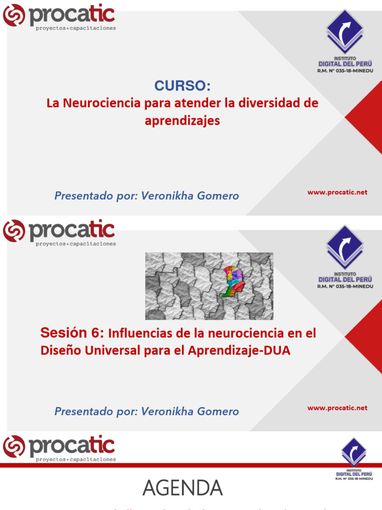 Neurociencia y Diseño Universal del Aprendizaje | PDF | Aprendizaje ...