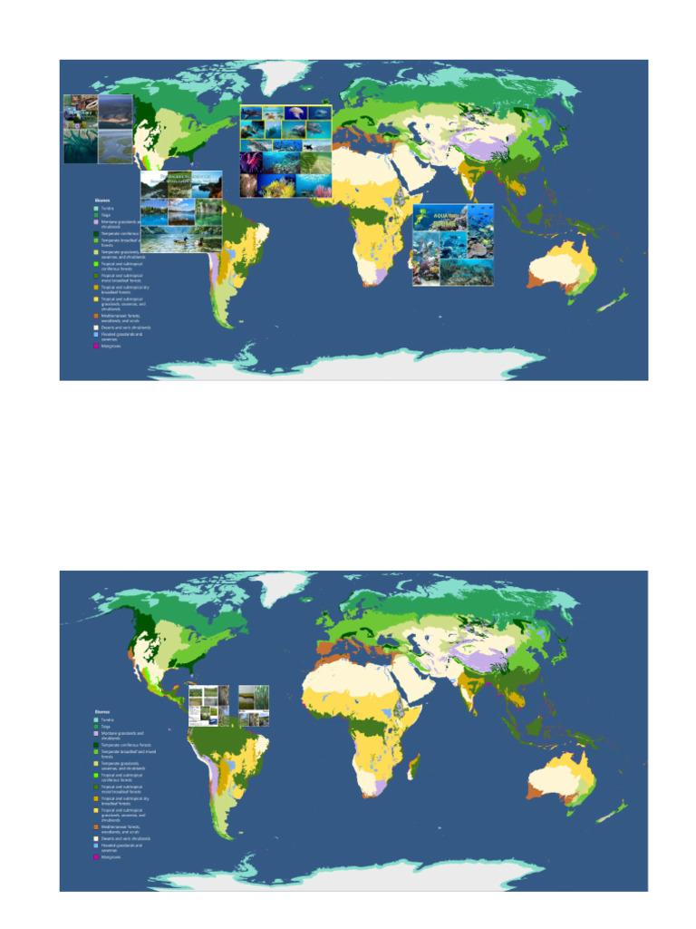AQUATIC BIOMES Map | PDF