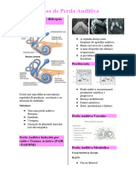 Tipos de Perda Auditiva