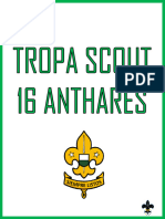 Tropa Scout 16 Anthares