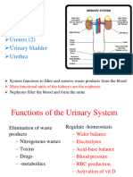 Lect-Urinary Syst_21