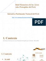 4 Sostenibilidad Financiera Rodolfo Valcarcel