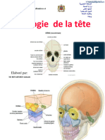 Osteologie Crane - Elkhalladi