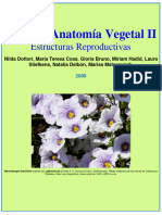 Dottori et al. 2008. Atlas de Anatomía Vegetal II. Estructuras Reproductivas