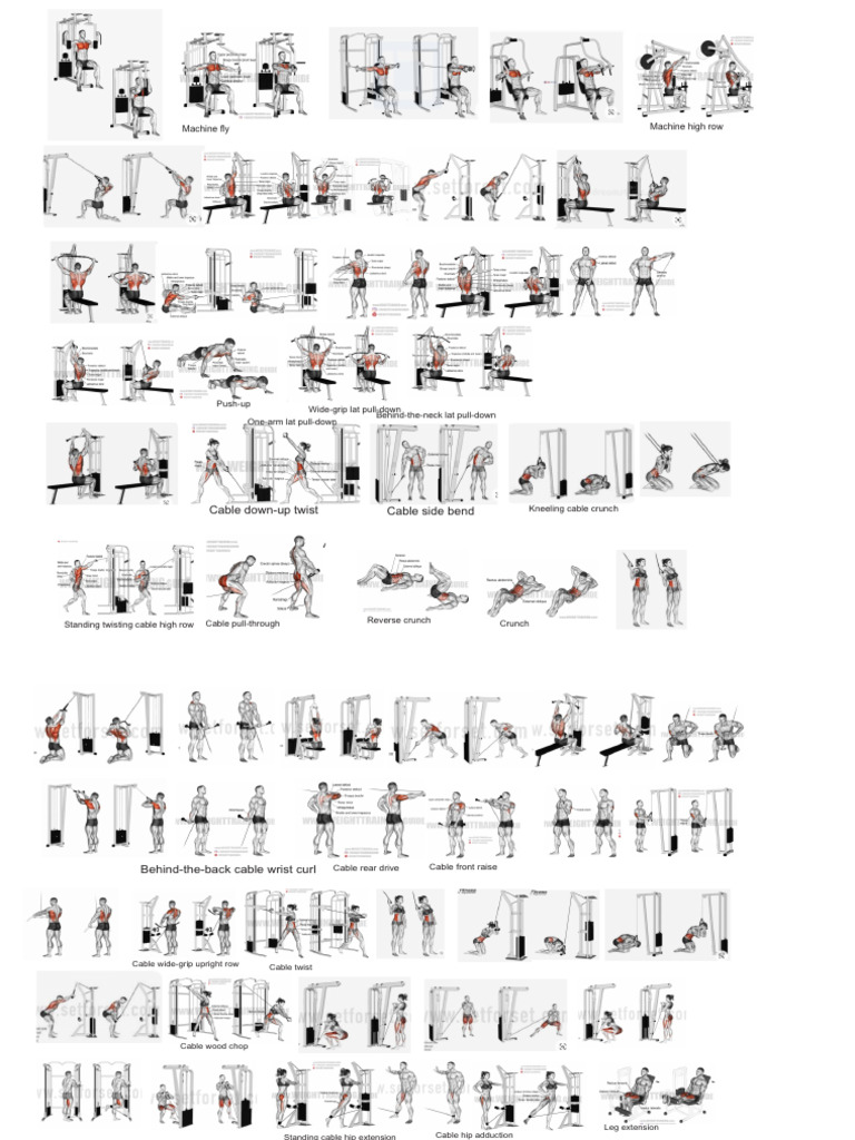 Multifunctional Machine Workout Routine | PDF