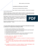 Resolución Del Taller 4 - Piruvato Deshidrogenasa, Beta-Oxidación y Ciclo de Krebs