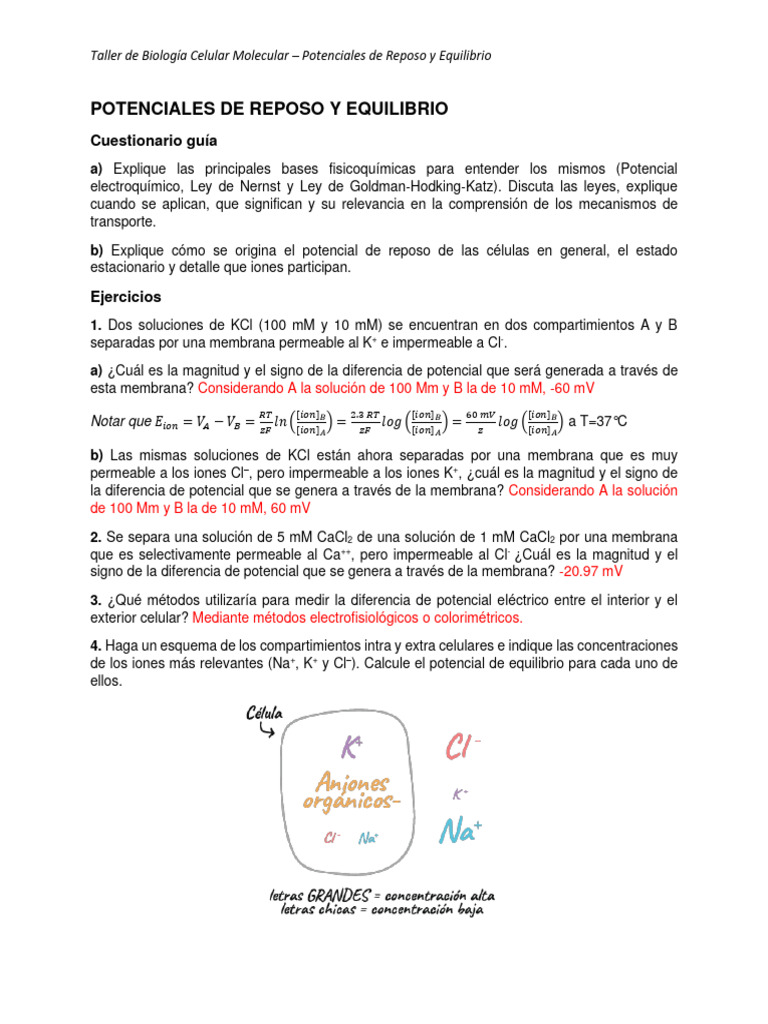 Potenciales de Reposo y Equilibrio Celular | PDF | Potencial de ...