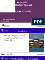 Lecture 6 - CAPM