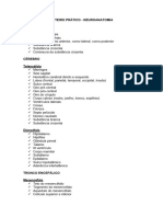 Utf-8 - Roteiro Prática Neuroanatomia