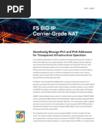 Big Ip Cgnat Datasheet