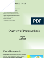 Light Reaction of Photosynthesis-Photophosphorylation