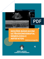 Nociones Basicas de Ultrasonografia. Semiologia y Artefactos