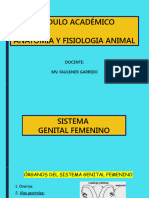 Clase 13 Sistema Genital Femenino