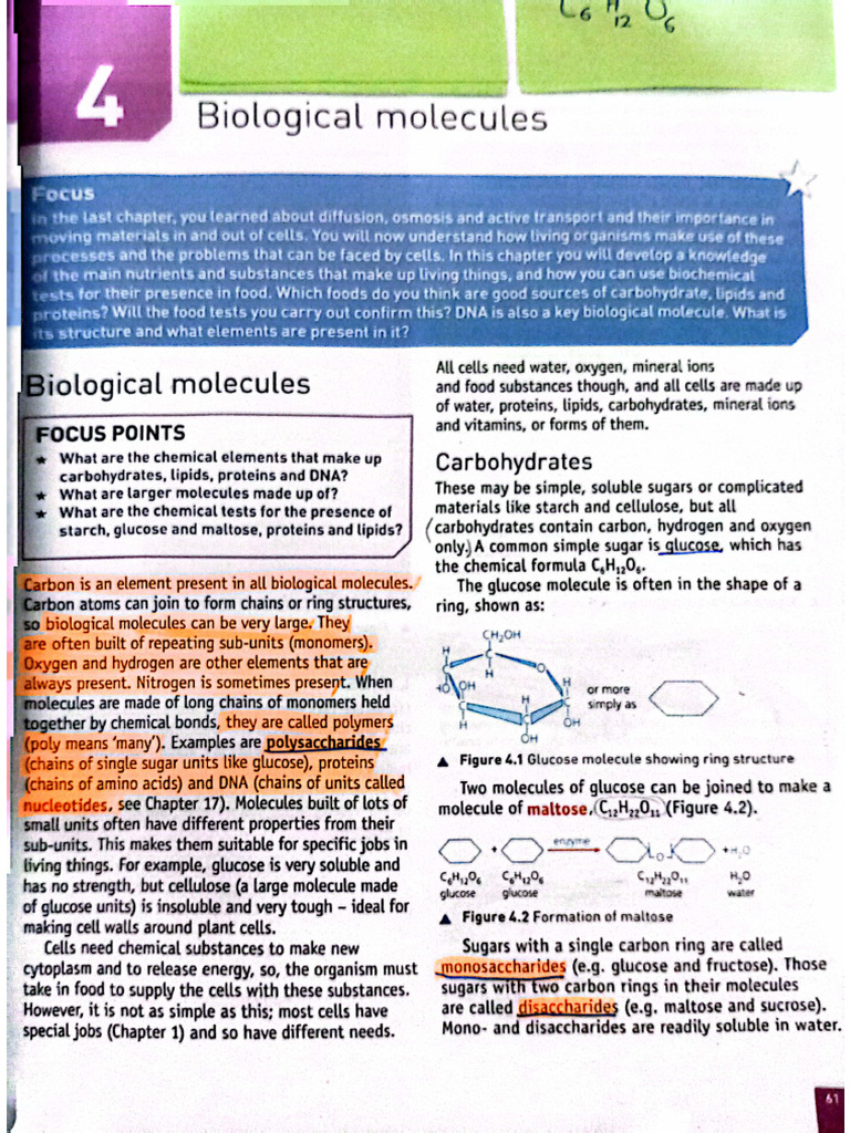 Biology Biological Molecules | PDF