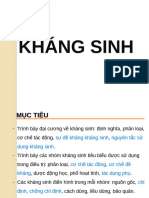Khang Sinh 2