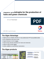 TOTAL Microalgae