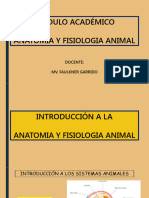 Clase 1 Introduccion A La Anatomia y Fisiologia Animal