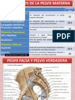 Dimetpelvis15 150712180649 Lva1 App6891