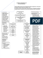 PDF LP Pneumothorax - Compress