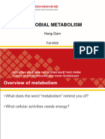 Microbial_metabolism_part 1_2 (3)
