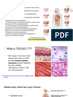 1 Epithelialtissue