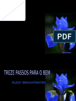 Treze Passos para o Bem