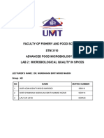 Lab Report 2 STM3110 G4D