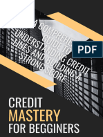 CREDIT MASTERY FOR BEGGINERS