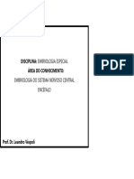 Disciplina: Embriologia Especial Área Do Conhecimento: Embriologia Do Sistema Nervoso Central Encéfalo