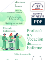 03 Profesion y Vocacion de Enfermeria