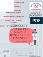 01 Tumores y Quistes Del Aparato Reproductor Femenino