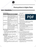 Photosynthesis in Higher Plants - Short Notes - Yakeen NEET 6.0 2024