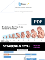 Desarrollo Fetal Emb 64078 Downloadable 983505