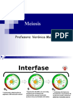 Meiosis (3 Parte)