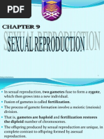 Download AGR 122 by Anis Nisa SN72665533 doc pdf