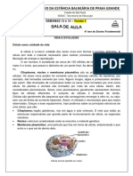 6º Ano - Versão 2 - Ciências - Semanas 13 e 14