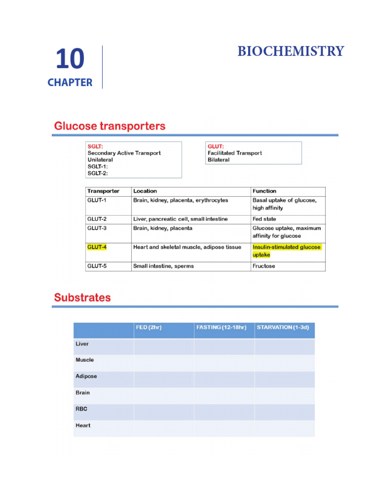 Biochemistry Chapter 10 Overview | PDF