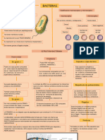 Mapa Conceptual de Las Bacterias 2