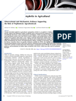 Chronic Interstitial Nephritis in Agricultural.20