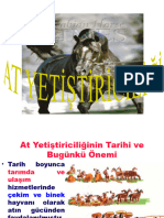 at Yetiştiriciliğinr Giriş, at Irkları Ve Irklerın Morfolojik Ve Fizyolojik Özellikleri