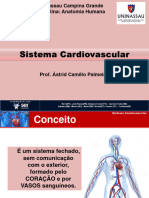 Aula - Sistema Cardiovascular