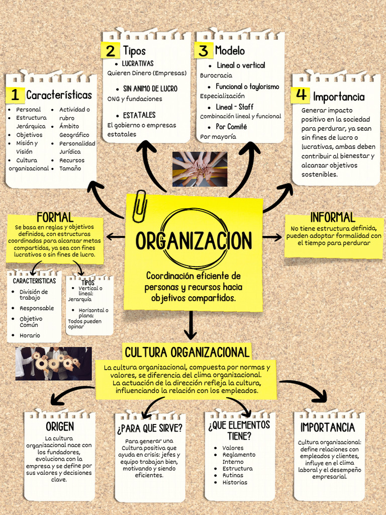 Organizacion - Mapa Mental | PDF | Business | Negocios económicos